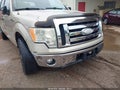 Photo 6 of 12 — 2009 Ford F-150