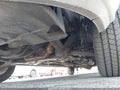 Photo 11 of 12 — 2016 Ford Transit-250