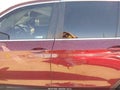 Photo 15 of 17 — 2018 Honda Pilot