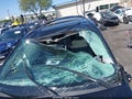 Photo 12 of 14 — 2025 Toyota Sienna