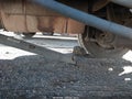 Photo 13 of 20 — 2018 Ford F-450