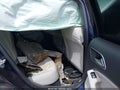 Photo 8 of 16 — 2018 Mercedes-Benz GLA-Class