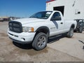 2002 Dodge Ram 1500 — photo 2 of 11 | VIN 1D7HU16Z92J194601