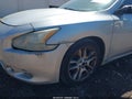 Photo 13 of 13 — 2010 Nissan Maxima