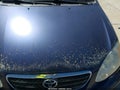 2006 Toyota Corolla — photo 6 of 11 | VIN JTDBR32E660078462
