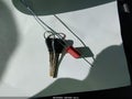 1997 Ford Escort — photo 11 of 14 | VIN 1FALP13P0VW169307