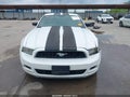Photo 12 of 17 — 2014 Ford Mustang