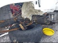 Photo 21 of 21 — 2023 Hino Hino L6