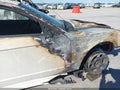 1999 Ford Mustang — photo 13 of 13 | VIN 1FAFP4042XF101280