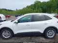 Photo 13 of 15 — 2021 Ford Escape