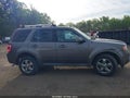 Photo 13 of 16 — 2011 Ford Escape