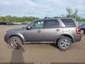 Photo 14 of 16 — 2011 Ford Escape