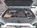Photo 10 of 12 — 2019 Toyota 4Runner