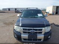 Photo 13 of 17 — 2010 Ford Escape