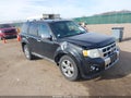 Photo 1 of 17 — 2010 Ford Escape