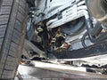 Photo 19 of 21 — 2022 Ford Escape