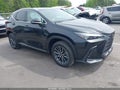 Photo 1 of 16 — 2026 Lexus NX 350