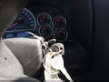Photo 11 of 16 — 2006 GMC Envoy