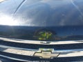 Photo 20 of 20 — 2007 Chevrolet Silverado 1500