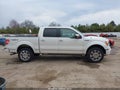 Photo 13 of 17 — 2010 Ford F-150