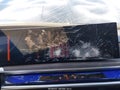 Photo 17 of 19 — 2026 BMW i7