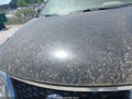 Photo 10 of 15 — 2016 Nissan Pathfinder