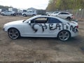 Photo 14 of 16 — 2010 Audi S5