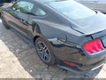 Photo 19 of 19 — 2020 Ford Mustang