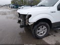 Photo 19 of 20 — 2015 Ford F-150