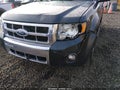 Photo 6 of 16 — 2008 Ford Escape