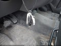 Photo 11 of 19 — 2022 Ford Transit-250