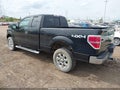 Photo 3 of 16 — 2013 Ford F-150