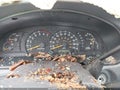 Photo 7 of 15 — 2002 Toyota Tundra