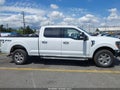 Photo 14 of 19 — 2024 Ford F-150