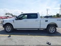 Photo 15 of 19 — 2024 Ford F-150