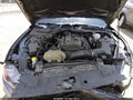 2019 Ford Mustang — photo 10 of 16 | VIN 1FA6P8TH2K5172077