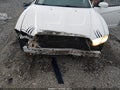 Photo 6 of 17 — 2014 Dodge Charger