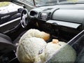 Photo 5 of 11 — 2005 Nissan Xterra