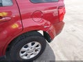 Photo 6 of 16 — 2008 Mazda Tribute