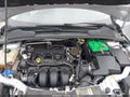 Photo 10 of 11 — 2014 Ford Focus