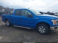 Photo 13 of 17 — 2019 Ford F-150