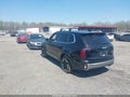 2025 Kia Telluride — photo 3 of 16 | VIN 5XYP3DGC6SG728559