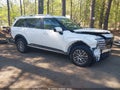 Photo 1 of 17 — 2026 Hyundai Palisade