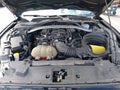 2019 Ford Mustang — photo 10 of 16 | VIN 1FA6P8K00K5505226