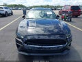 2019 Ford Mustang — photo 6 of 16 | VIN 1FA6P8K00K5505226