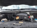 Photo 10 of 16 — 2017 Mercedes-Benz Sprinter
