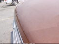 Photo 6 of 17 — 2017 Ford Escape