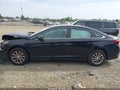 Photo 14 of 16 — 2019 Hyundai Sonata