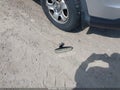 Photo 12 of 20 — 2022 Volvo C40
