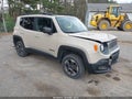 Photo 1 of 15 — 2016 Jeep Renegade